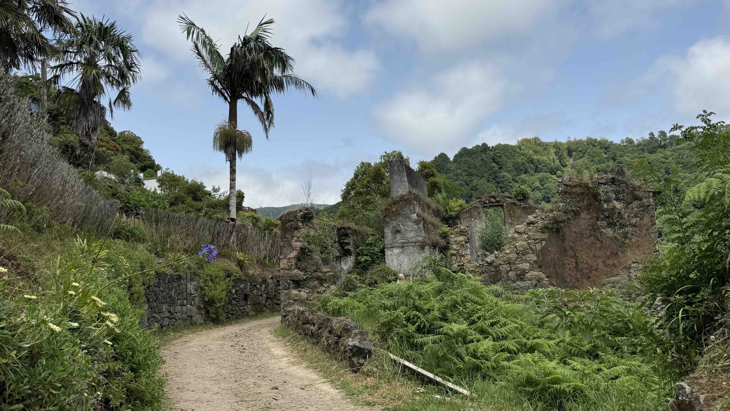 The lost village