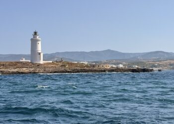 img_7553.jpg