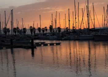 img_0813.jpg
